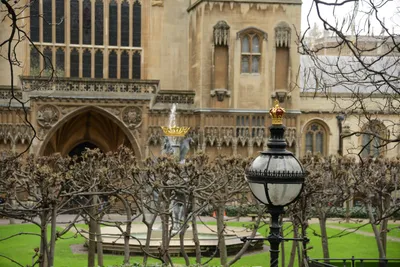 DSC_5635 (Large).JPG